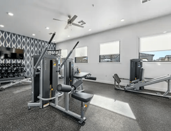 Free weights